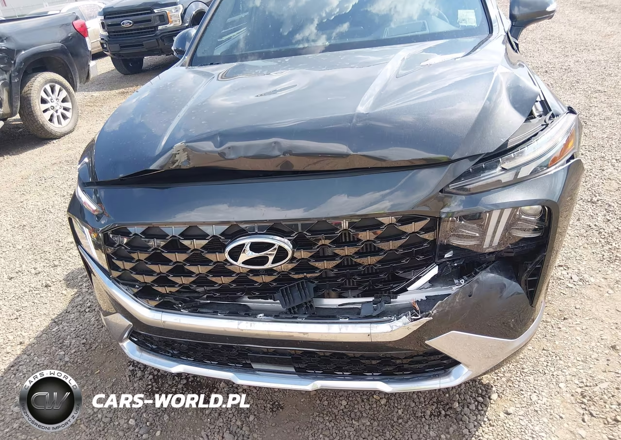 2023 Hyundai Santa Fe Calligraphy VIN:5NMS54AL8PH603931 - 6