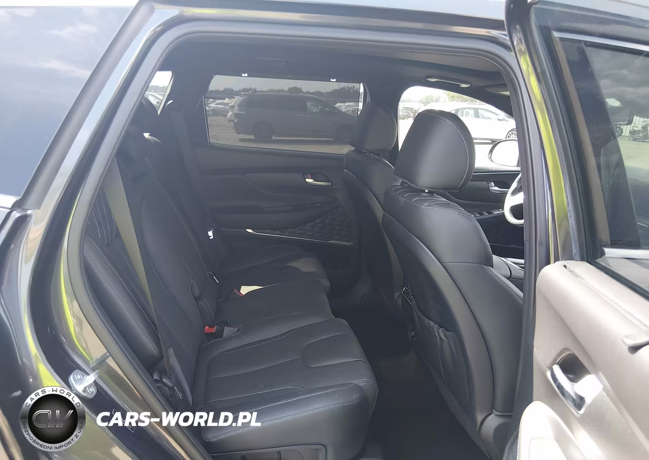 2023 Hyundai Santa Fe Calligraphy VIN:5NMS54AL8PH603931 - 8