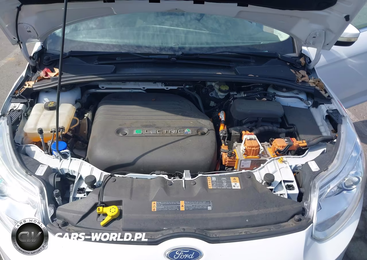 2018 Ford Focus Electric VIN:1FADP3R44JL230957 - 10