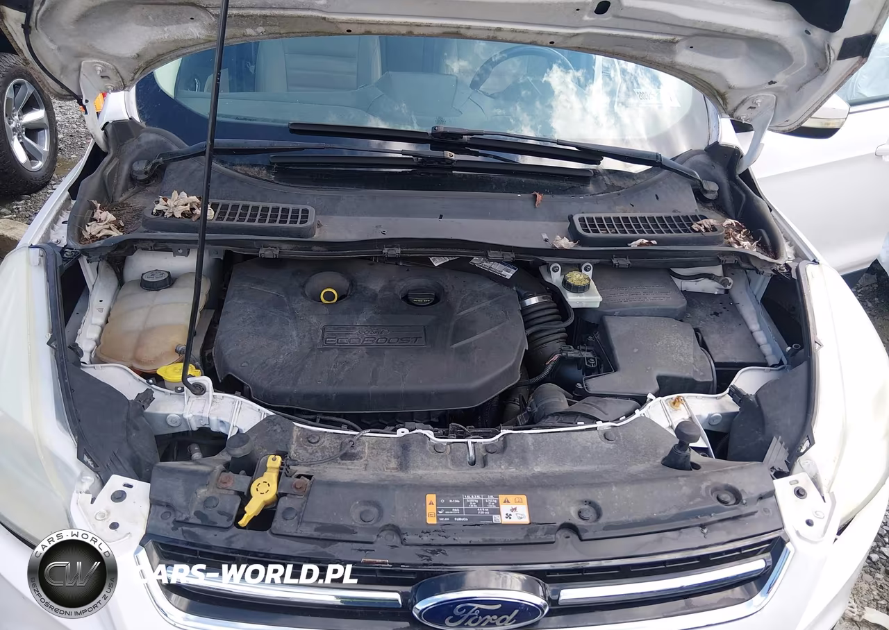 2013 Ford Escape Sel VIN:1FMCU9H92DUC95492 - 10