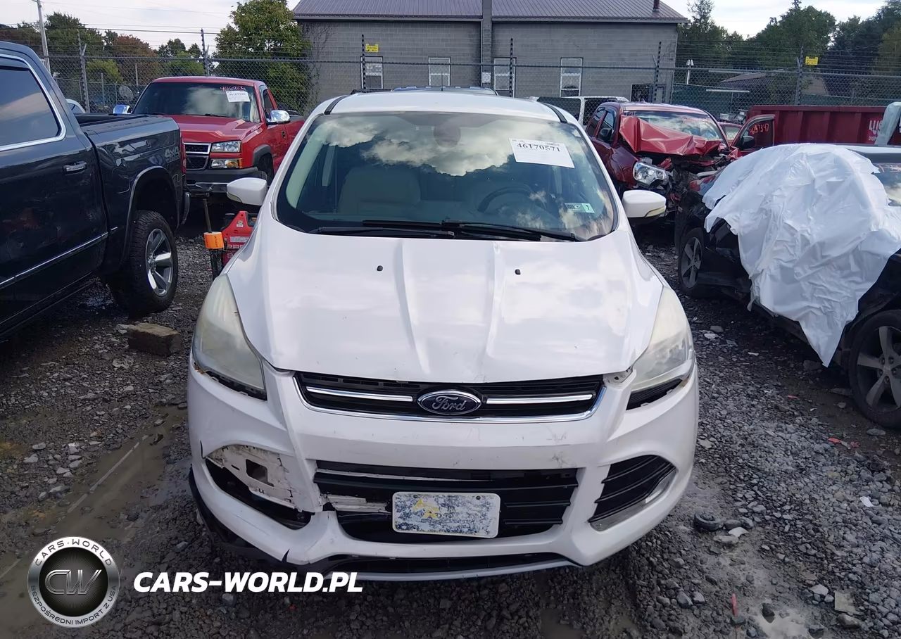 2013 Ford Escape Sel VIN:1FMCU9H92DUC95492 - 12