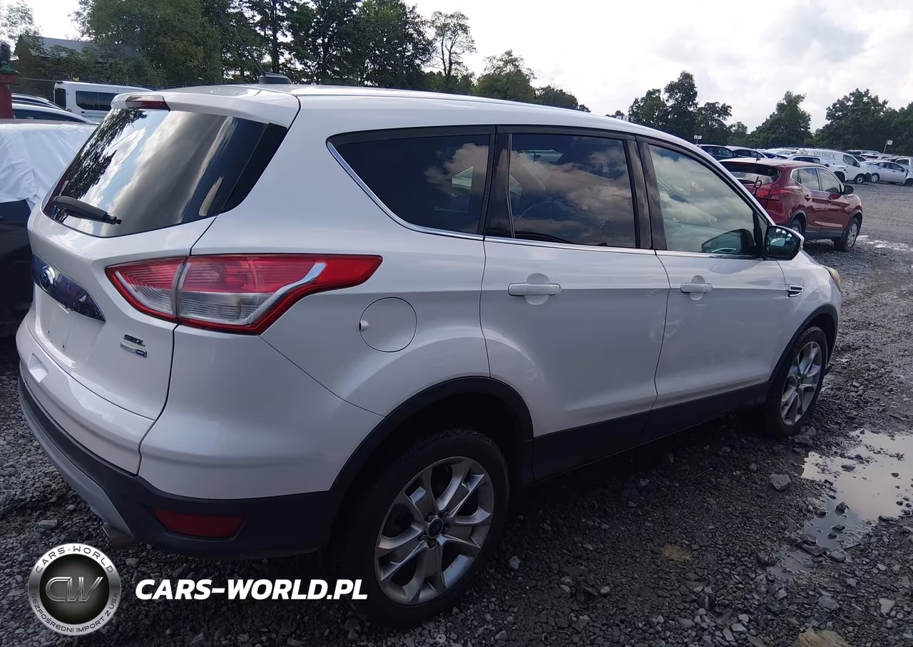 2013 Ford Escape Sel VIN:1FMCU9H92DUC95492 - 13