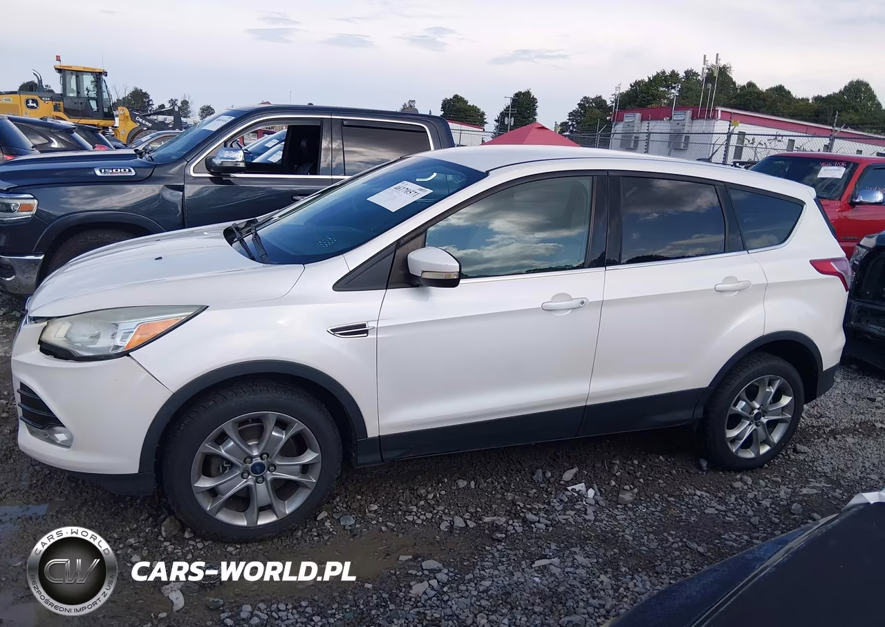 2013 Ford Escape Sel VIN:1FMCU9H92DUC95492 - 14
