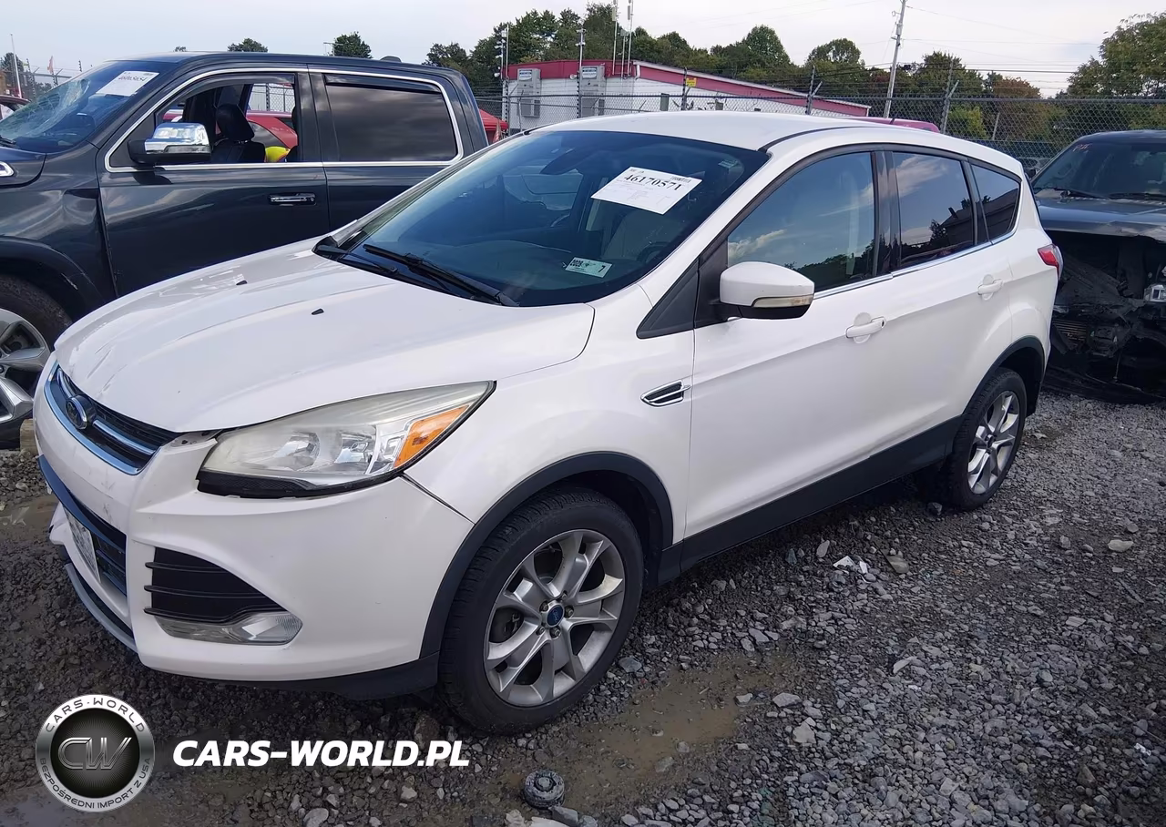 2013 Ford Escape Sel VIN:1FMCU9H92DUC95492 - 2