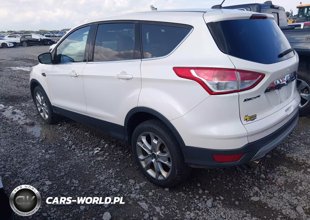 2013 Ford Escape Sel VIN:1FMCU9H92DUC95492 - 3