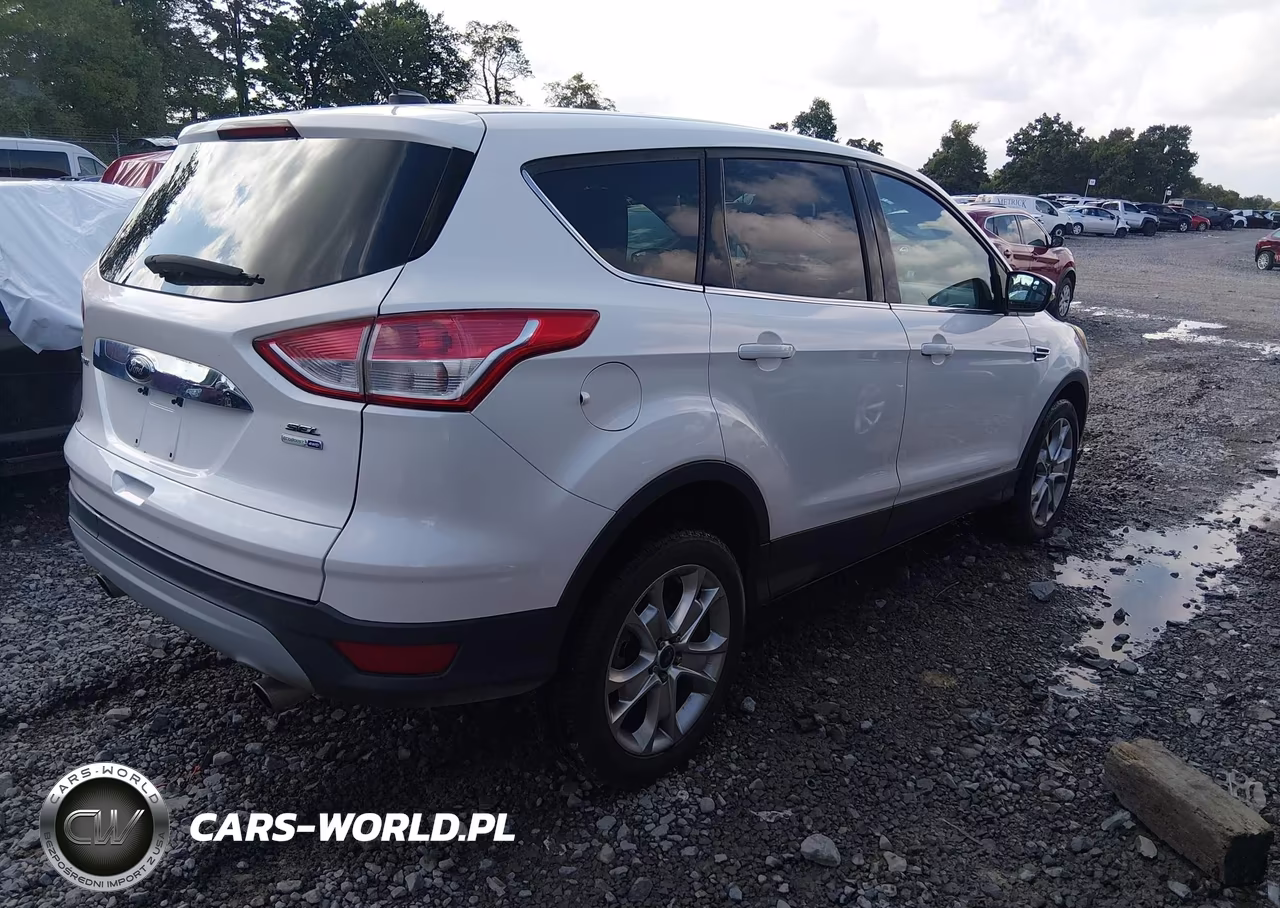 2013 Ford Escape Sel VIN:1FMCU9H92DUC95492 - 4