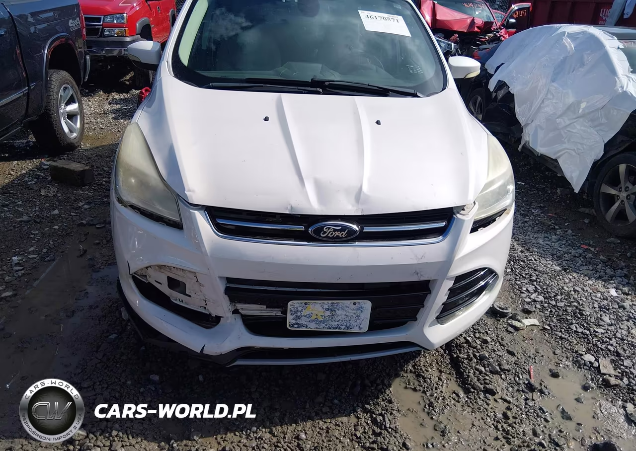 2013 Ford Escape Sel VIN:1FMCU9H92DUC95492 - 6