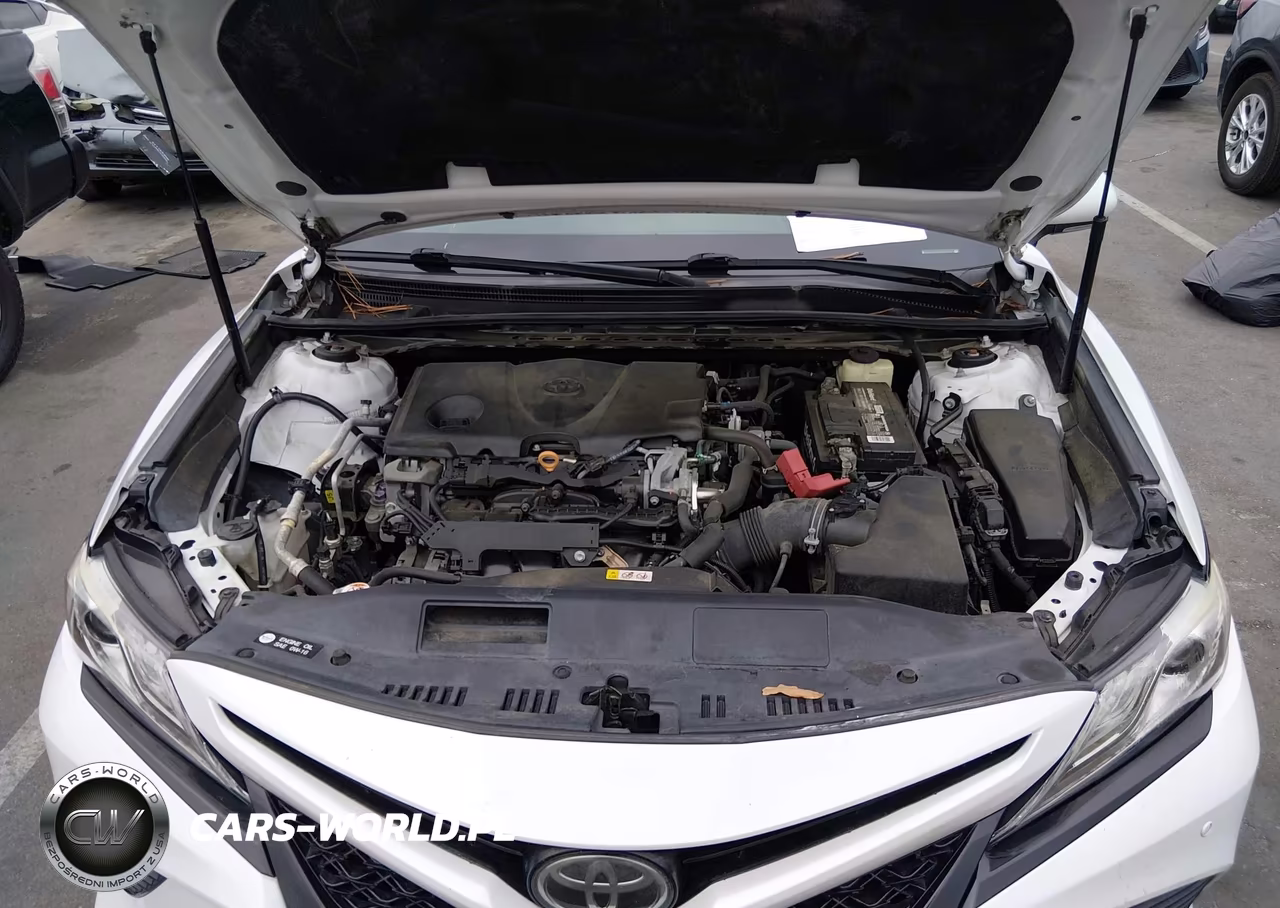 2018 Toyota Camry Xse VIN:4T1B61HK9JU123482 - 10