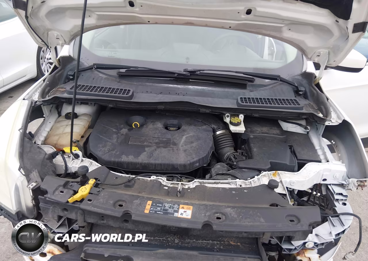 2014 Ford Escape Se VIN:1FMCU0G99EUB64722 - 10
