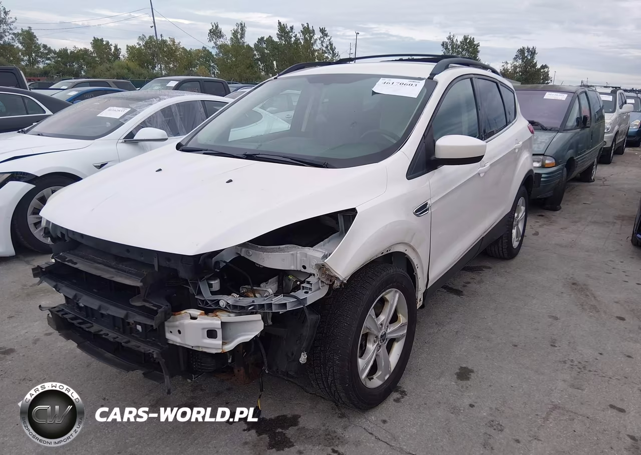 2014 Ford Escape Se VIN:1FMCU0G99EUB64722 - 2