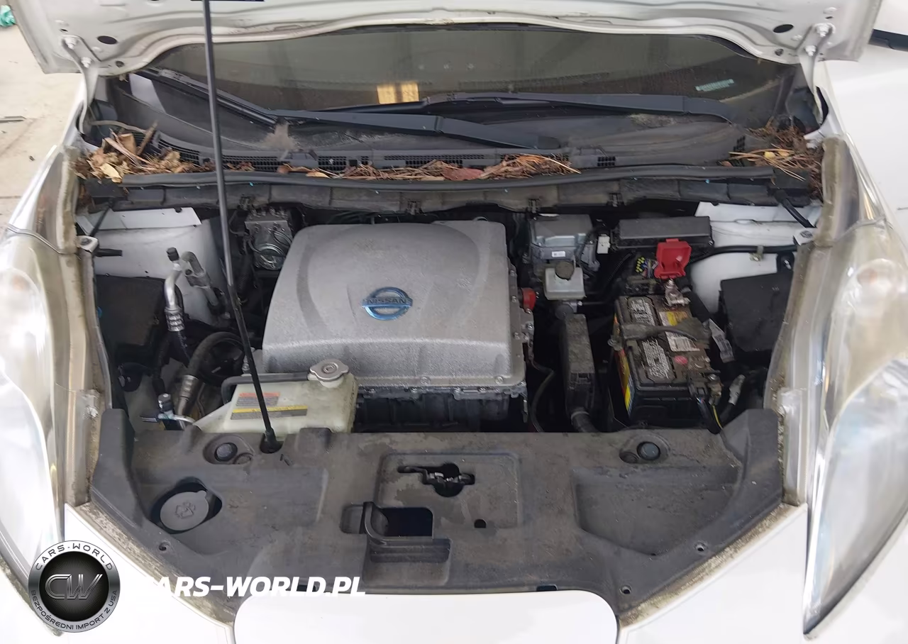 2013 Nissan Leaf S VIN:1N4AZ0CPXDC418725 - 10