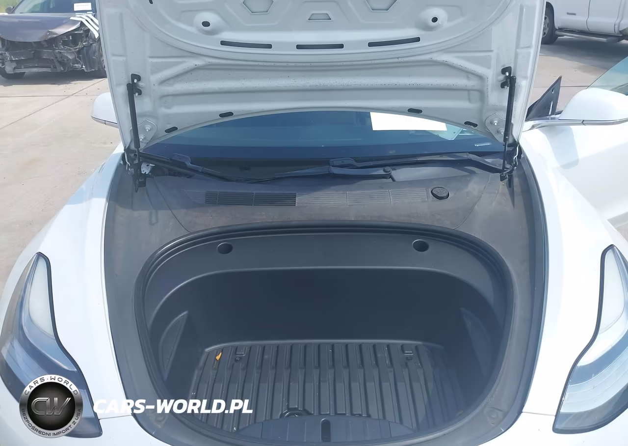 2020 Tesla Model 3 VIN:5YJ3E1EA5LF802359 - 10