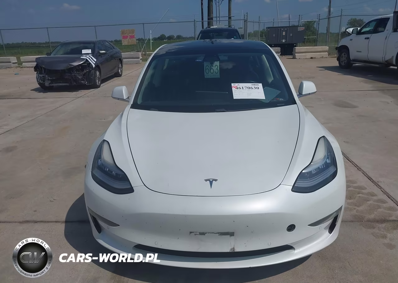 2020 Tesla Model 3 VIN:5YJ3E1EA5LF802359 - 12