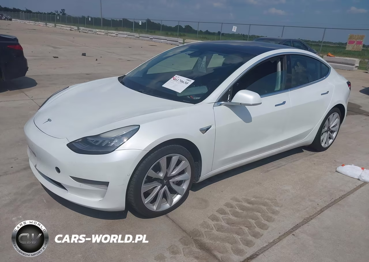 2020 Tesla Model 3 VIN:5YJ3E1EA5LF802359 - 2