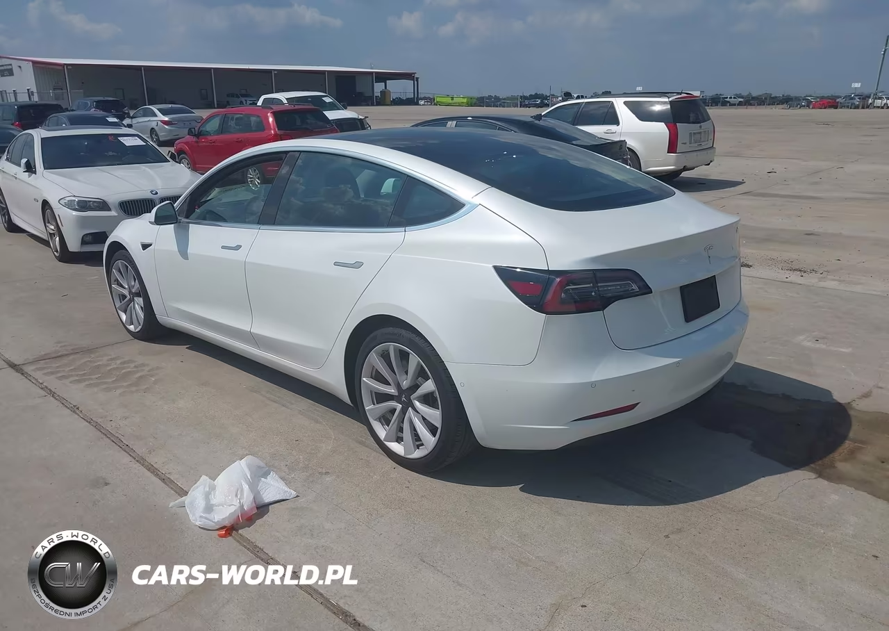 2020 Tesla Model 3 VIN:5YJ3E1EA5LF802359 - 3