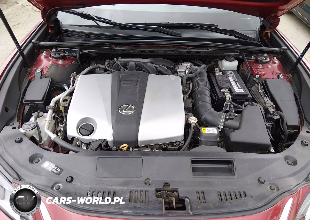 2020 Lexus Es 350 VIN:58ADZ1B17LU080742 - 10