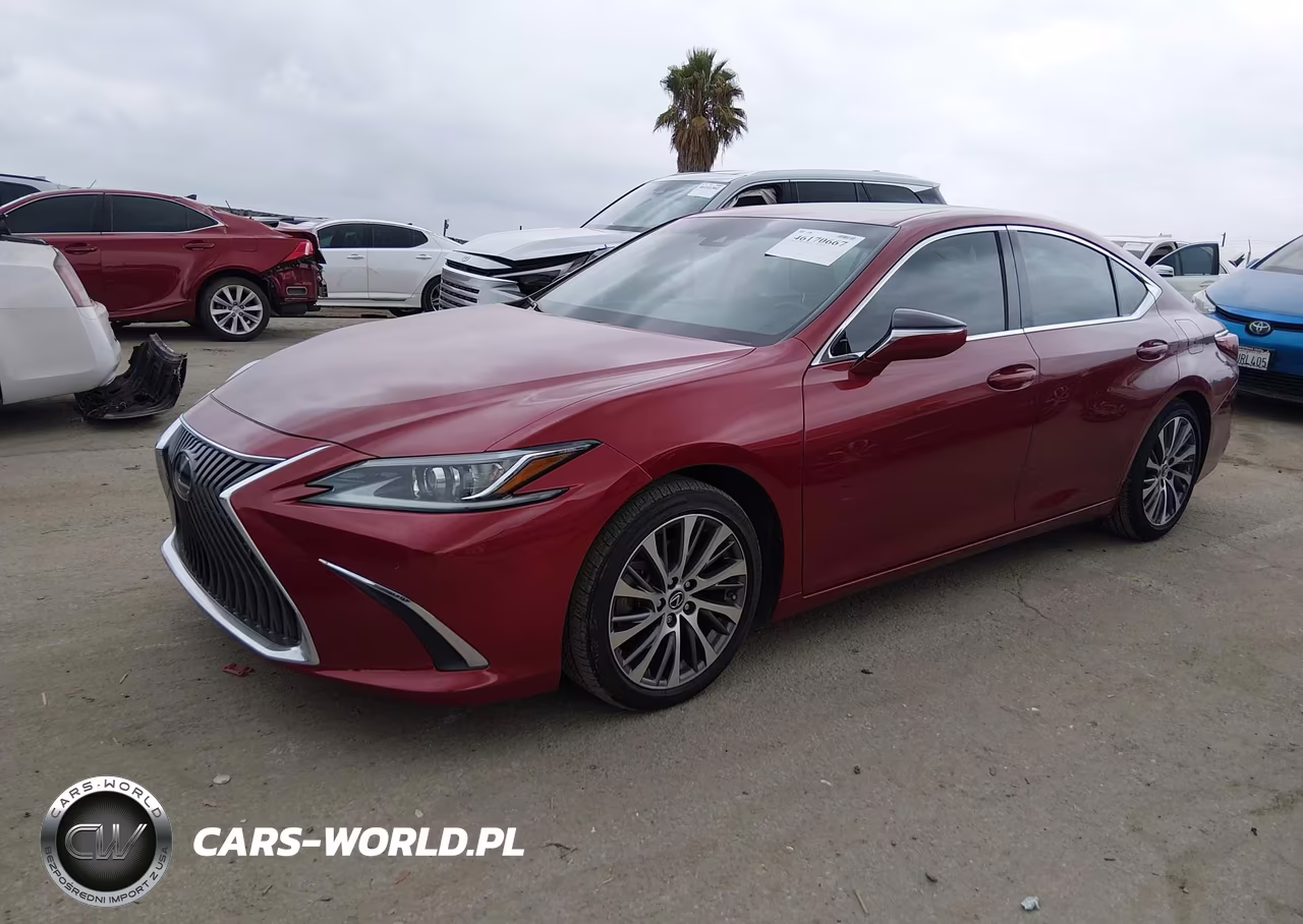 2020 Lexus Es 350 VIN:58ADZ1B17LU080742 - 2