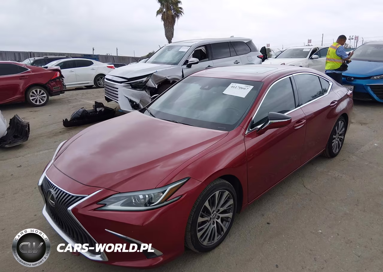 2020 Lexus Es 350 VIN:58ADZ1B17LU080742 - 6