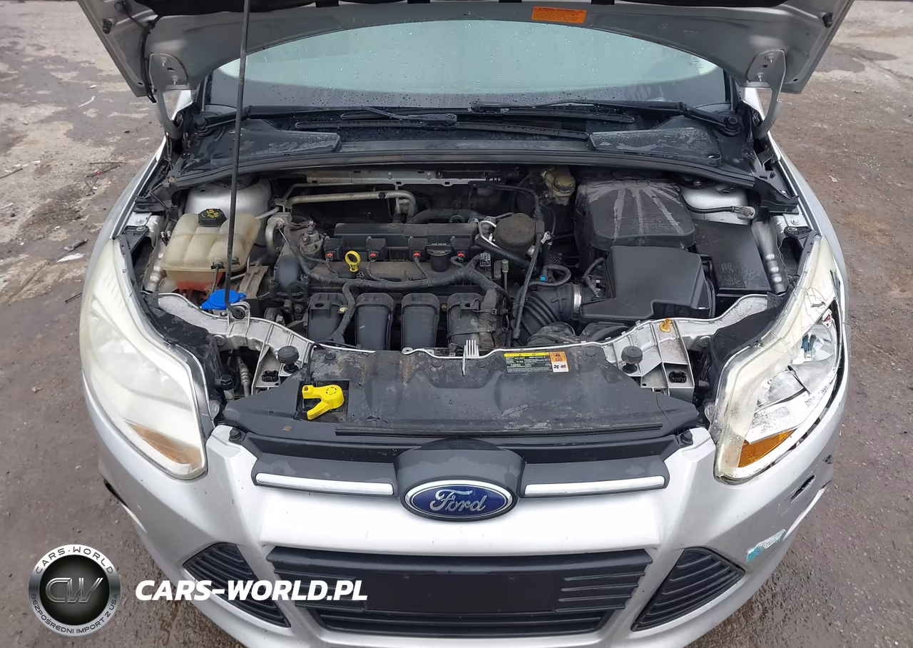 2014 Ford Focus Se VIN:1FADP3K29EL182094 - 10
