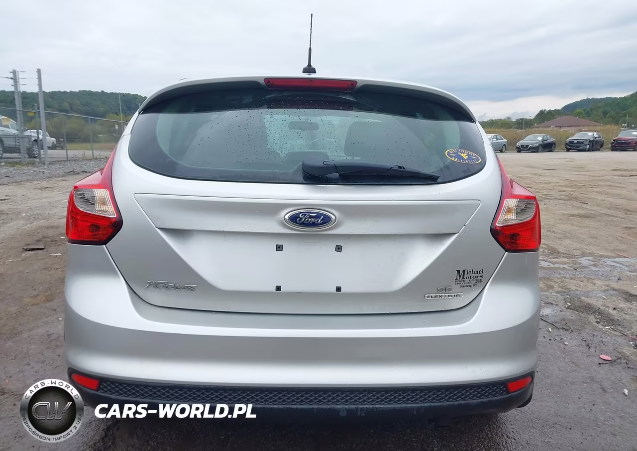 2014 Ford Focus Se VIN:1FADP3K29EL182094 - 16