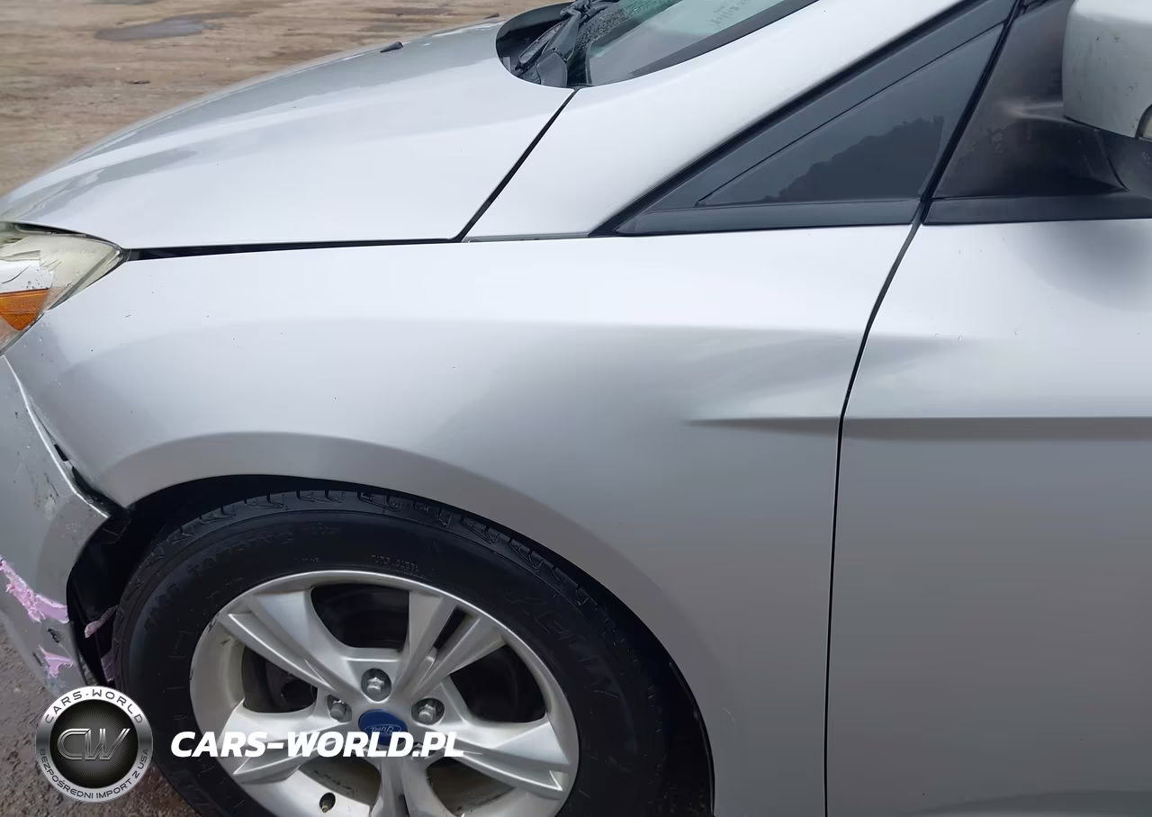 2014 Ford Focus Se VIN:1FADP3K29EL182094 - 18