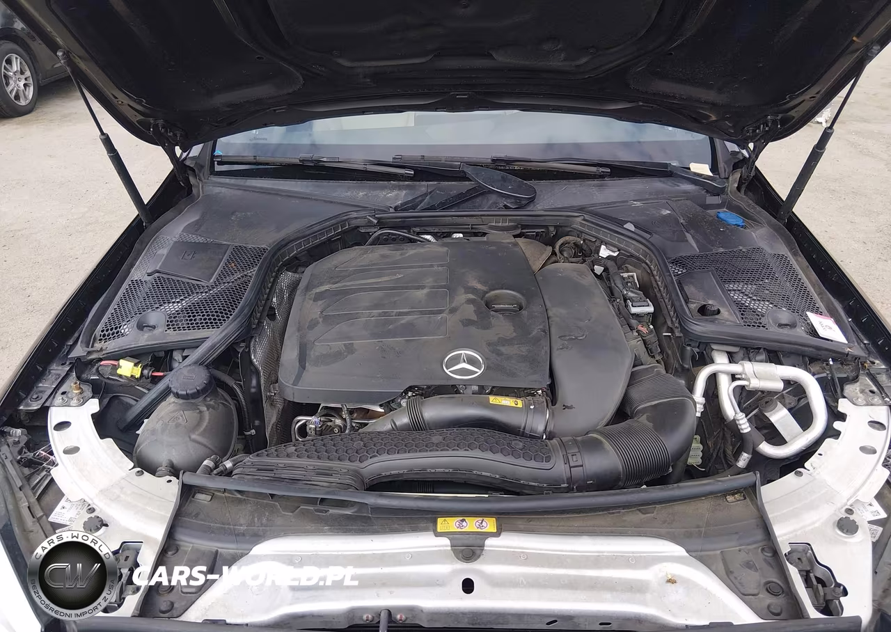 2020 Mercedes-Benz C 300 4Matic VIN:55SWF8EB0LU324345 - 10