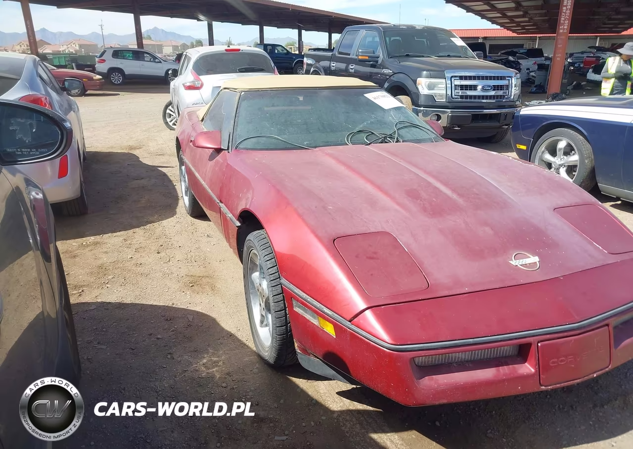 1989 Chevrolet Corvette VIN:1G1YY3189K5111369 - 1