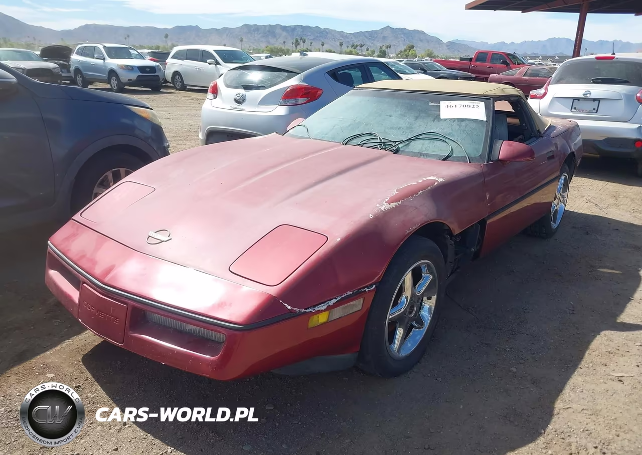 1989 Chevrolet Corvette VIN:1G1YY3189K5111369 - 2