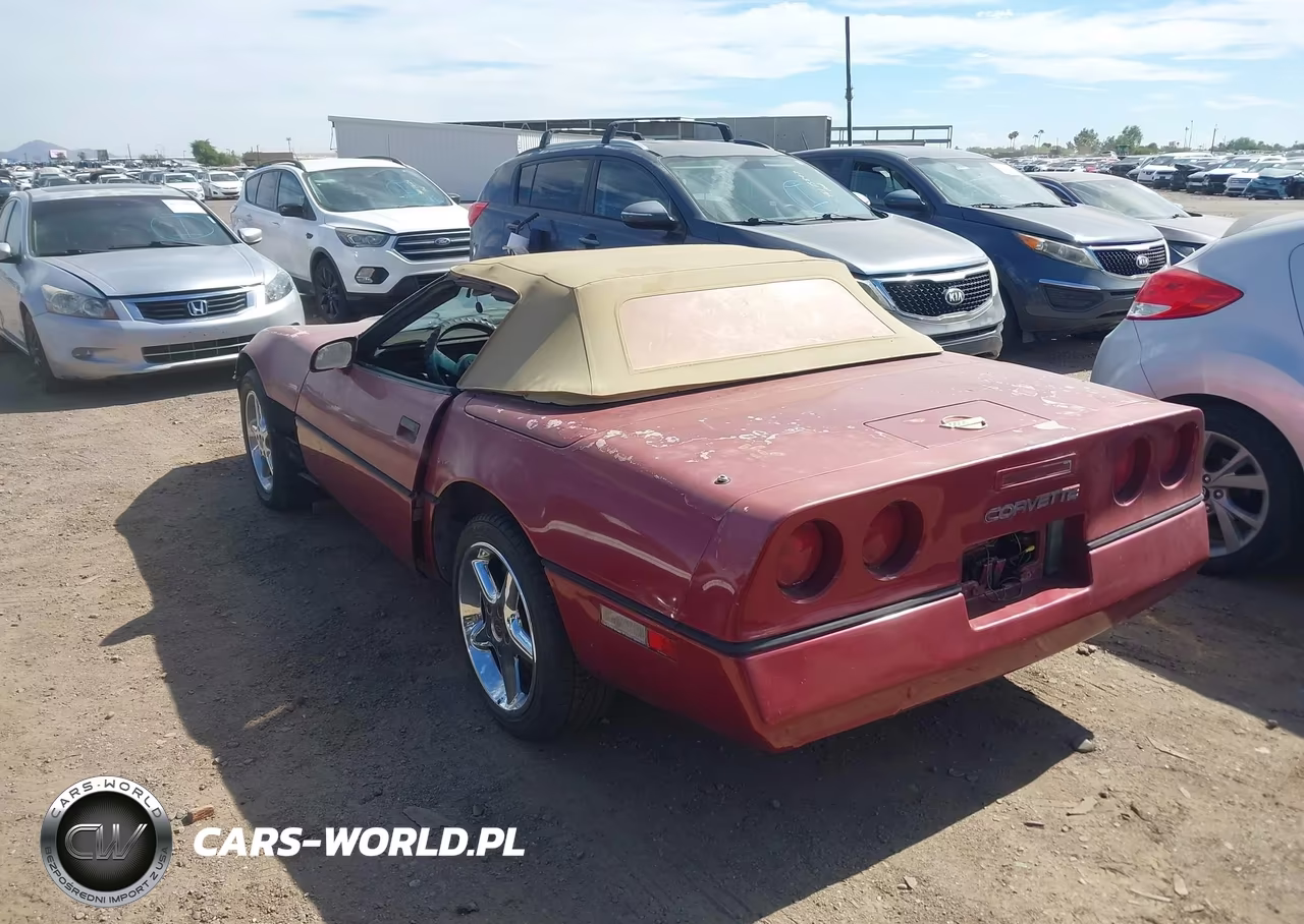 1989 Chevrolet Corvette VIN:1G1YY3189K5111369 - 3