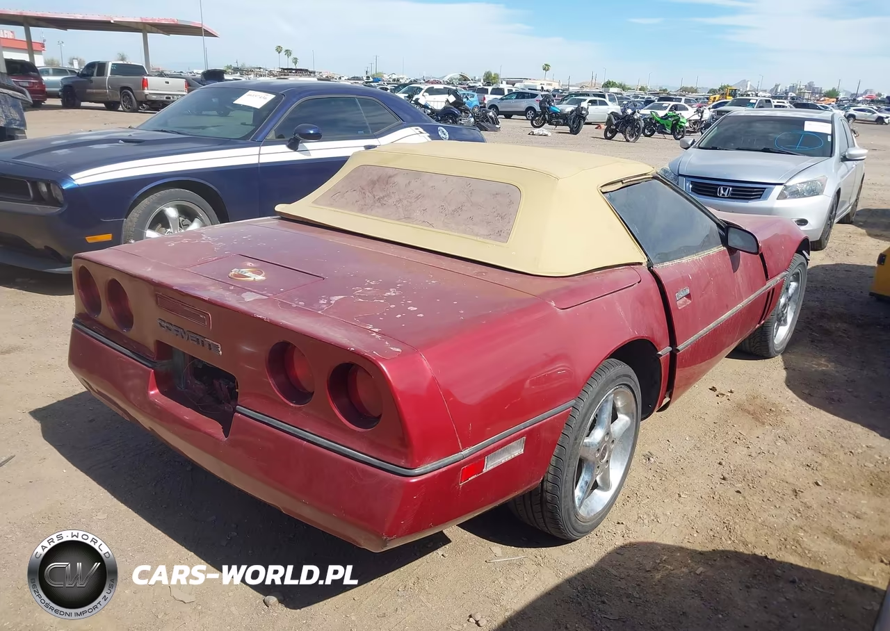 1989 Chevrolet Corvette VIN:1G1YY3189K5111369 - 4