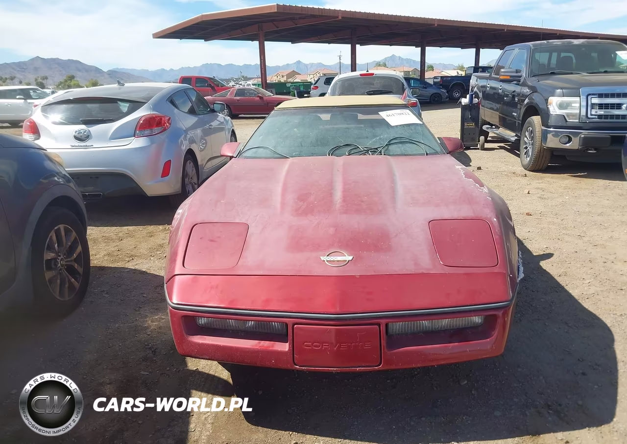 1989 Chevrolet Corvette VIN:1G1YY3189K5111369 - 6