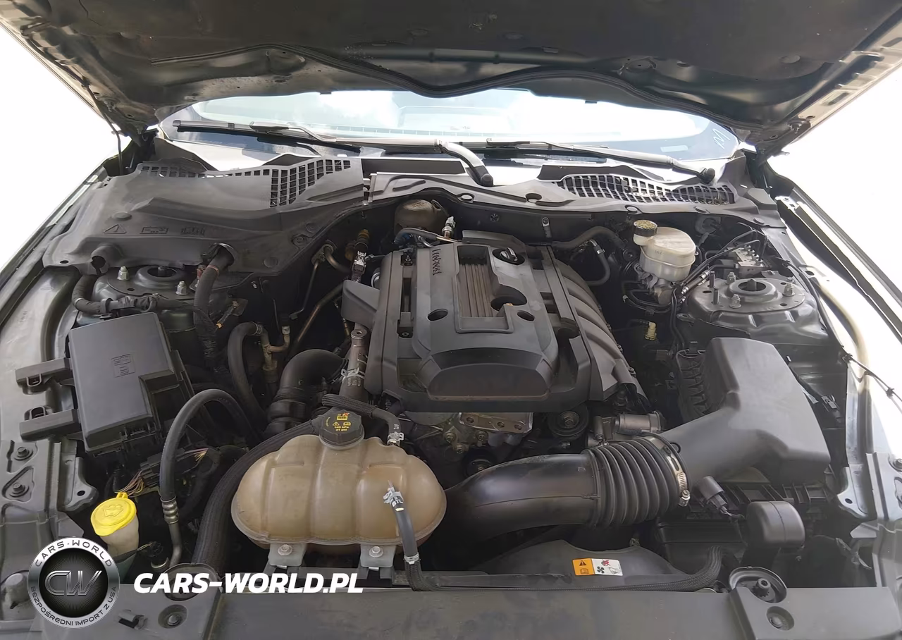 2016 Ford Mustang Ecoboost VIN:1FA6P8TH9G5323410 - 10