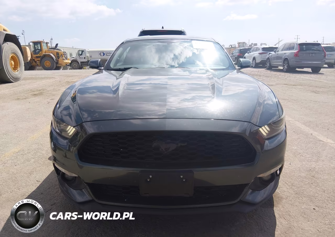 2016 Ford Mustang Ecoboost VIN:1FA6P8TH9G5323410 - 12