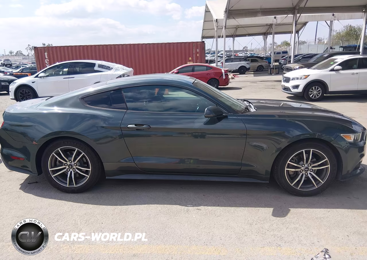 2016 Ford Mustang Ecoboost VIN:1FA6P8TH9G5323410 - 13