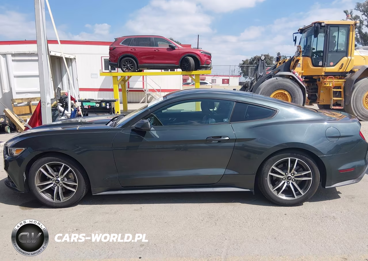 2016 Ford Mustang Ecoboost VIN:1FA6P8TH9G5323410 - 14