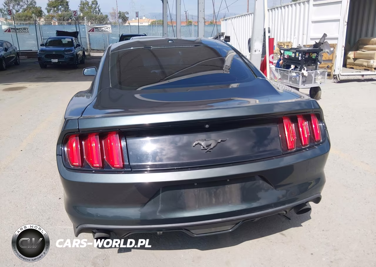 2016 Ford Mustang Ecoboost VIN:1FA6P8TH9G5323410 - 16