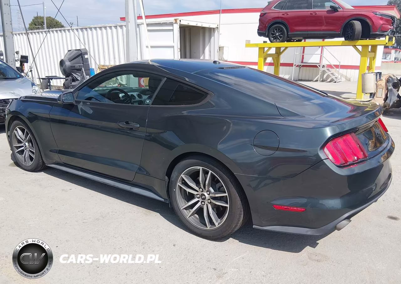 2016 Ford Mustang Ecoboost VIN:1FA6P8TH9G5323410 - 3