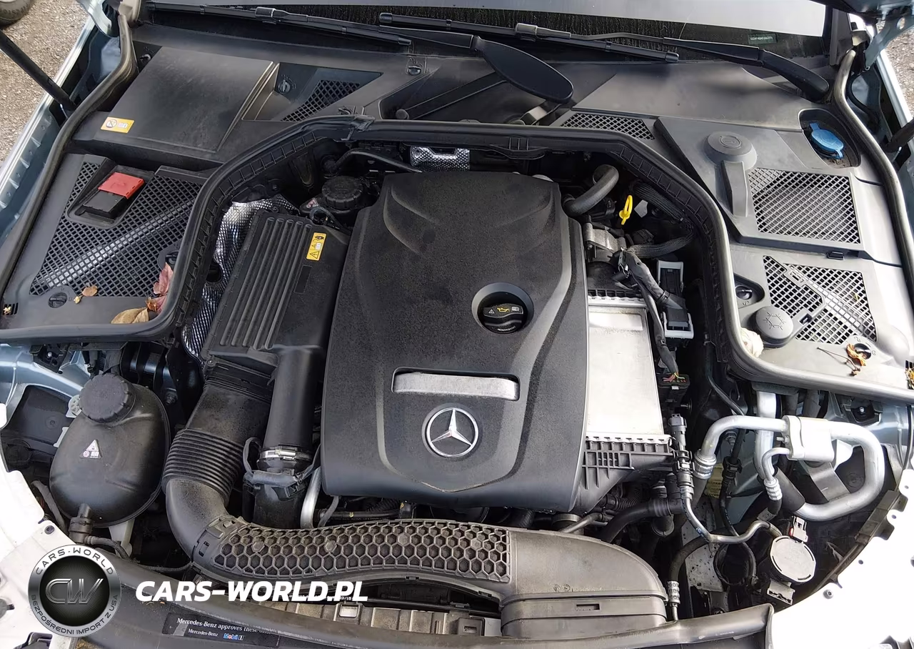 2015 Mercedes-Benz C 300 Luxury 4Matic VIN:55SWF4KB4FU063996 - 10
