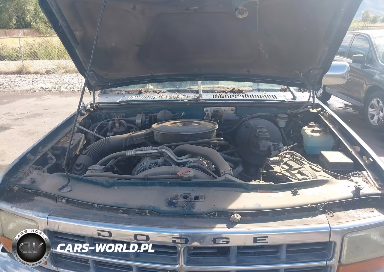 1996 Dodge Dakota VIN:1B7GG23YXTS598954 - 10