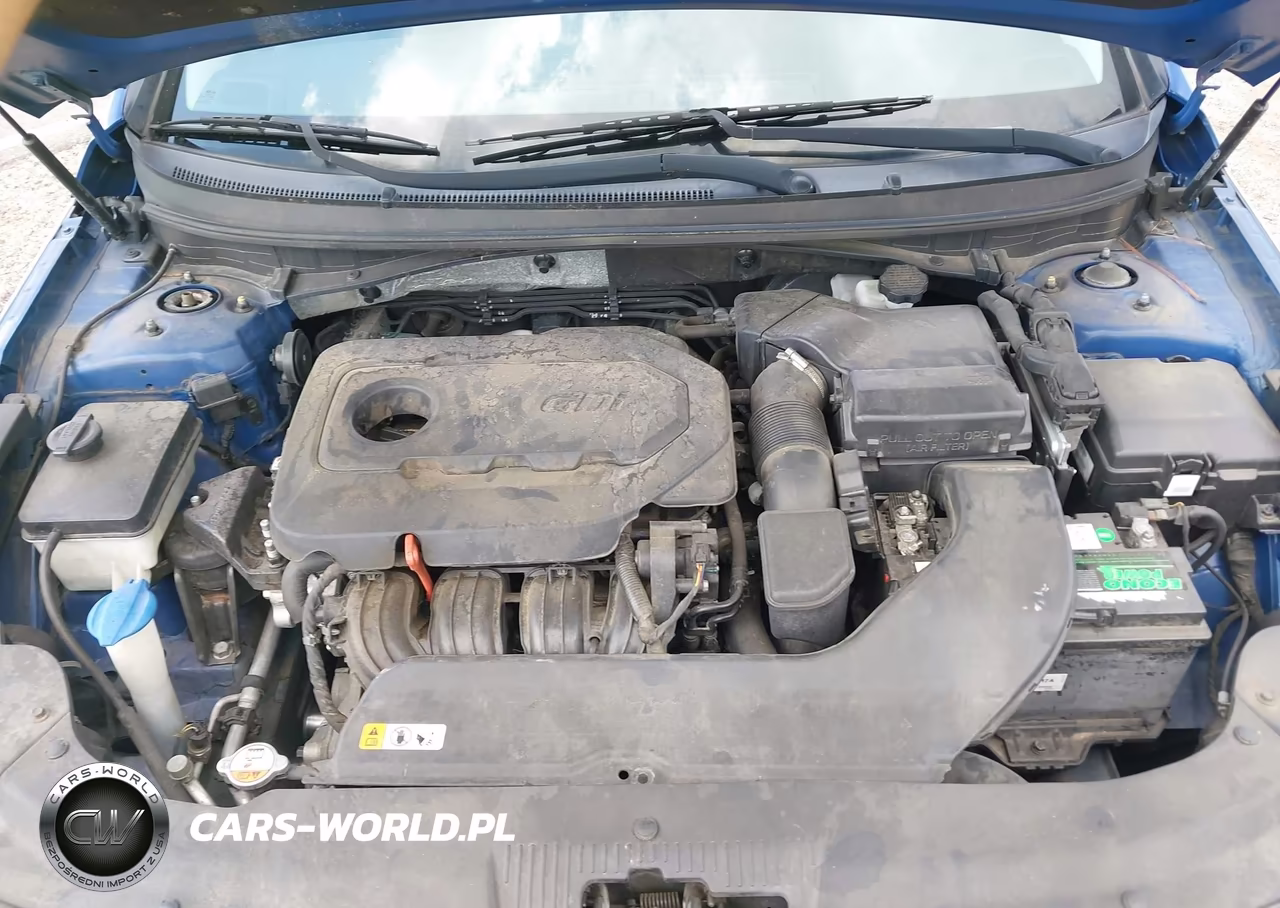 2016 Hyundai Sonata Se VIN:5NPE24AF1GH277909 - 10