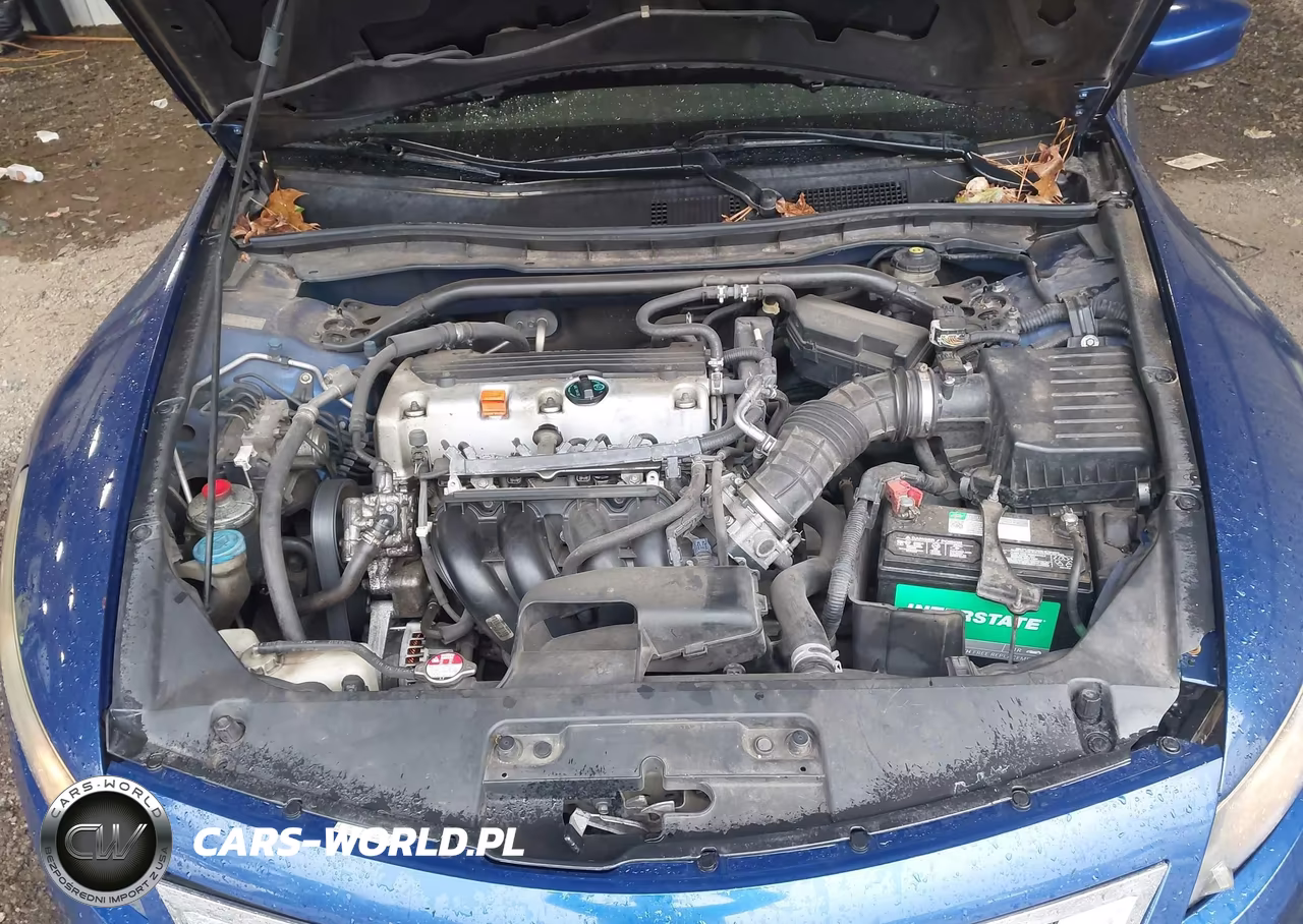 2010 Honda Accord 2.4 Ex VIN:1HGCS1B71AA014316 - 10