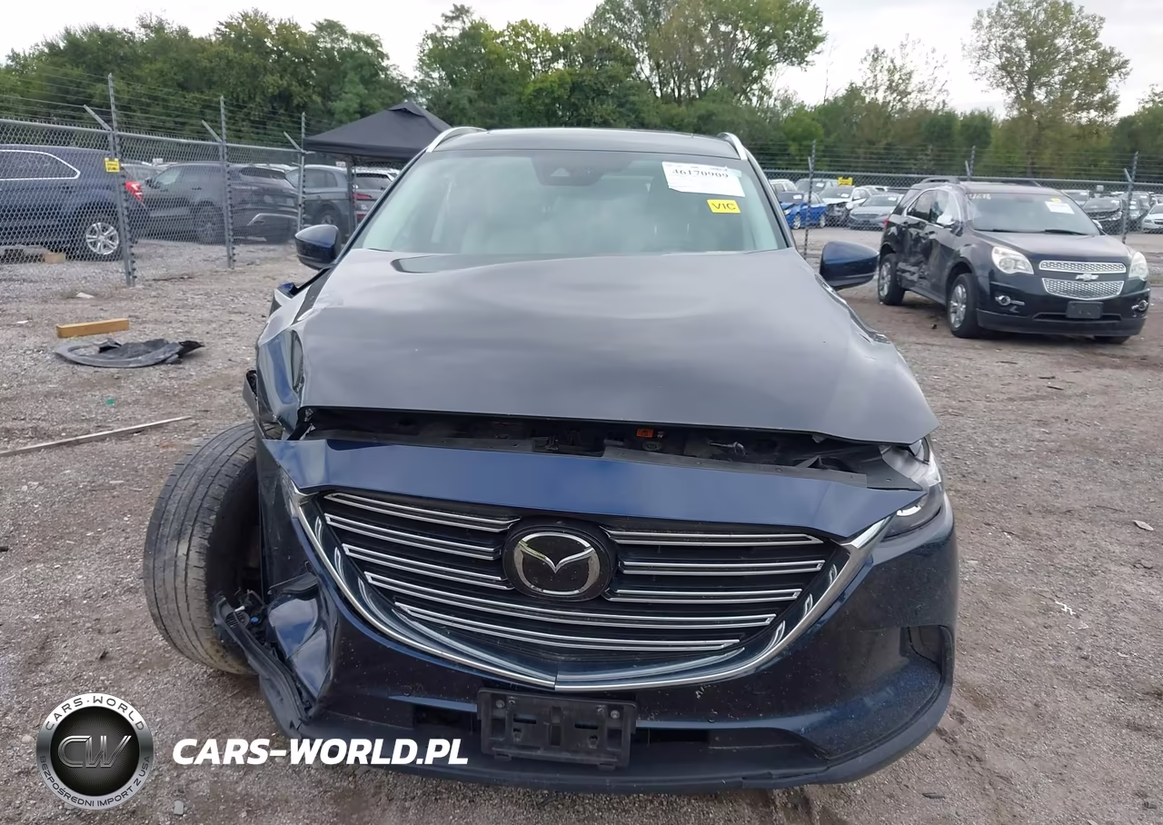 2021 Mazda Cx-9 Touring VIN:JM3TCBCY5M0535212 - 6
