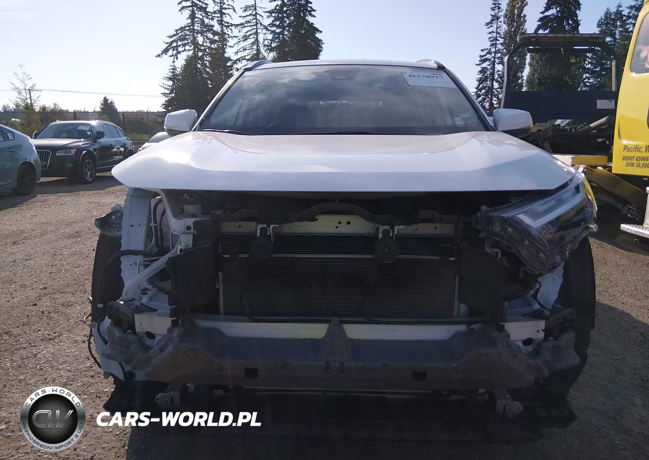 2025 Toyota Rav4 Xle VIN:2T3W1RFV0SW388425 - 13