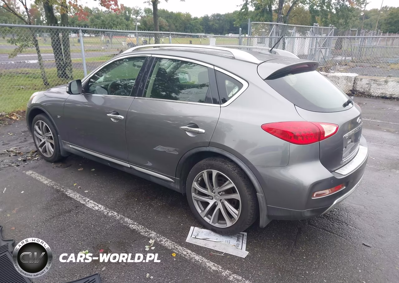 2017 Infiniti Qx50 VIN:JN1BJ0RR0HM412644 - 3