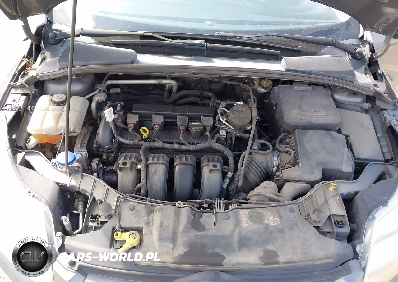 2014 Ford Focus Se VIN:1FADP3F21EL300178 - 10