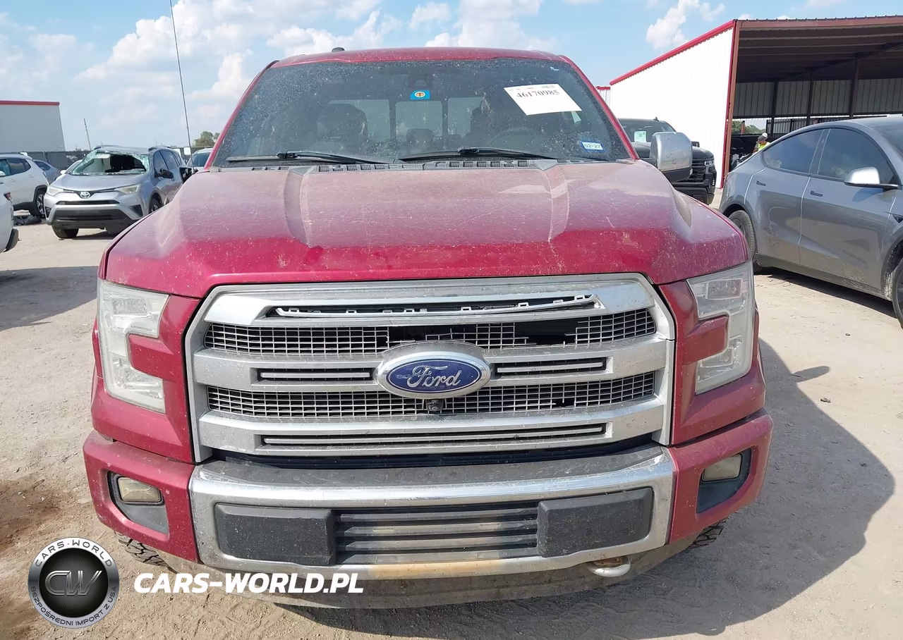 2015 Ford F-150 Platinum VIN:1FTEW1EFXFFB47486 - 12