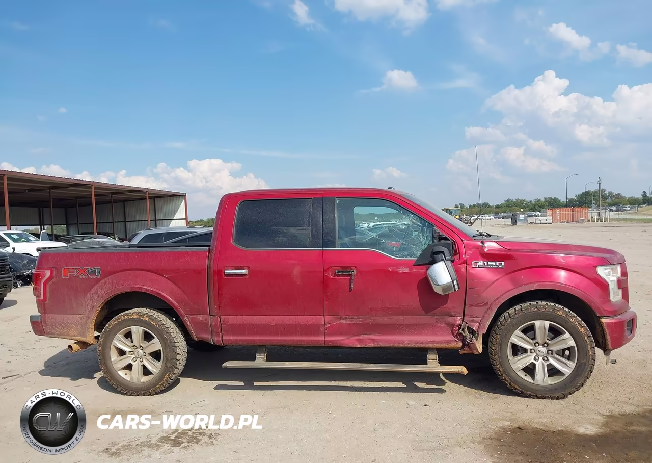 2015 Ford F-150 Platinum VIN:1FTEW1EFXFFB47486 - 13