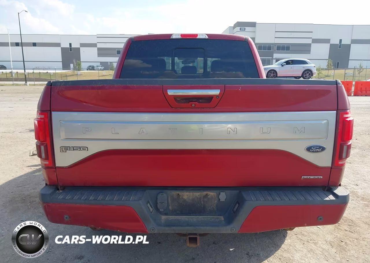 2015 Ford F-150 Platinum VIN:1FTEW1EFXFFB47486 - 16