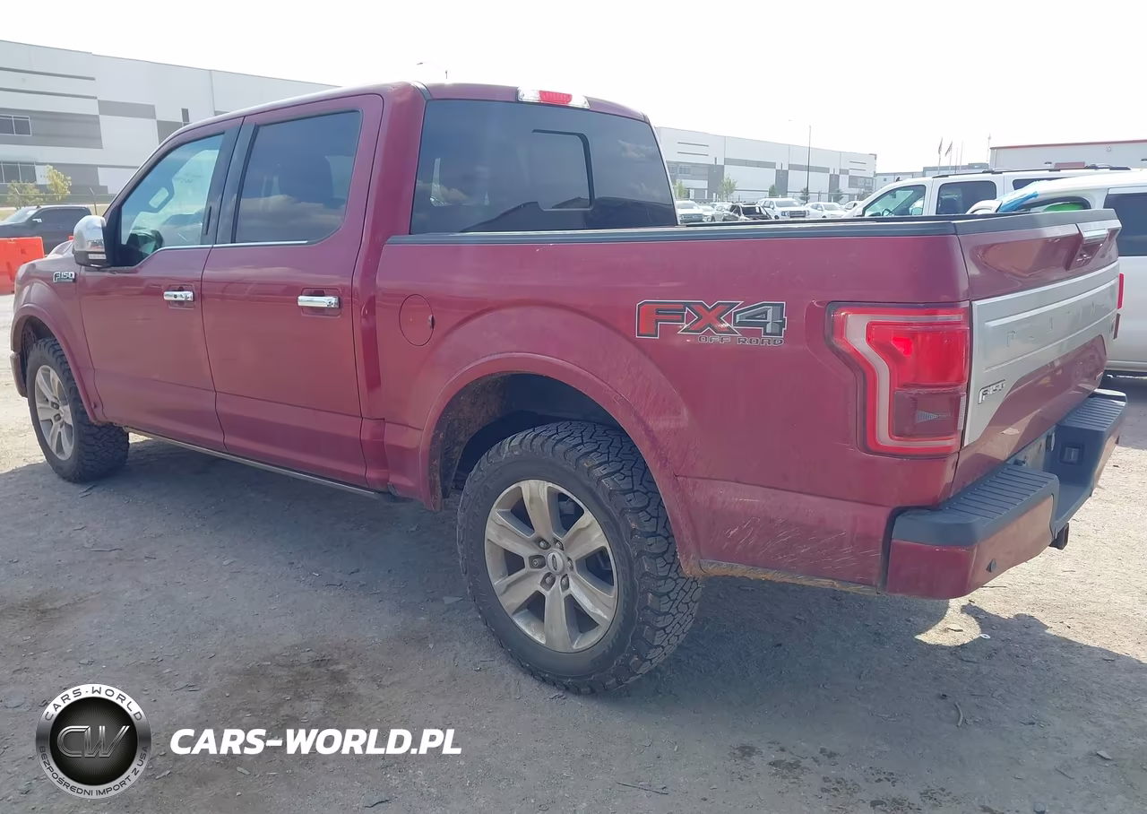 2015 Ford F-150 Platinum VIN:1FTEW1EFXFFB47486 - 3