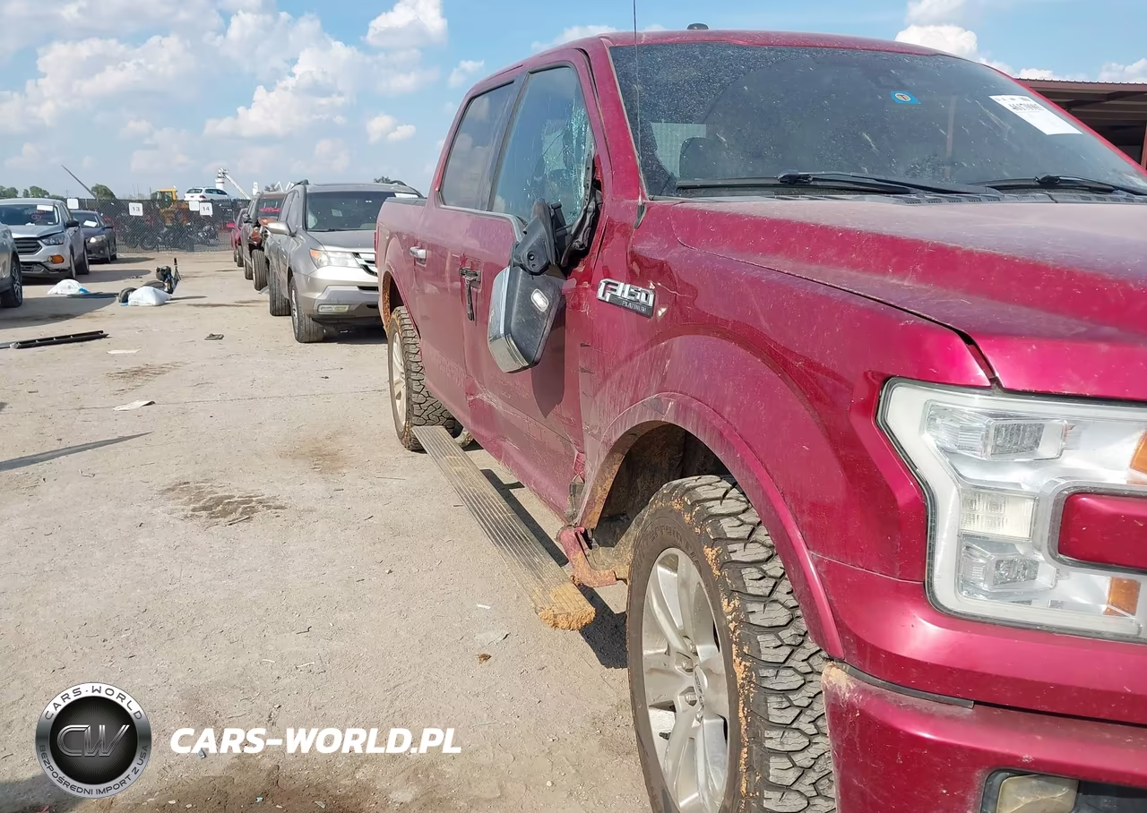 2015 Ford F-150 Platinum VIN:1FTEW1EFXFFB47486 - 6